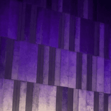 purplevoice