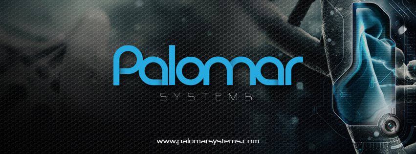 Palomar Systems Co.,Ltd cover