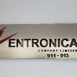 Entronica