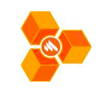 Megasoft Service Co., Ltd