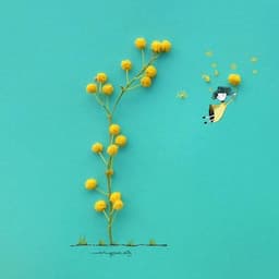 Công Ty TNHH Thời Trang Mặt Trời Đỏ