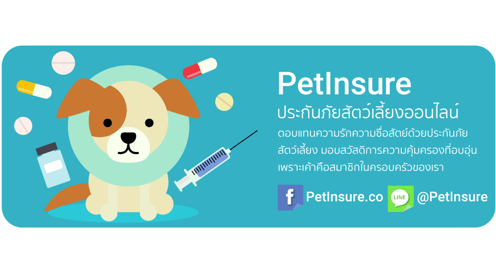PetInsure cover