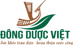 CÔNG TY CỔ PHẦN DƯỢC PHẨM VIỆT