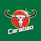 Carabao Tawandang Co., Ltd.