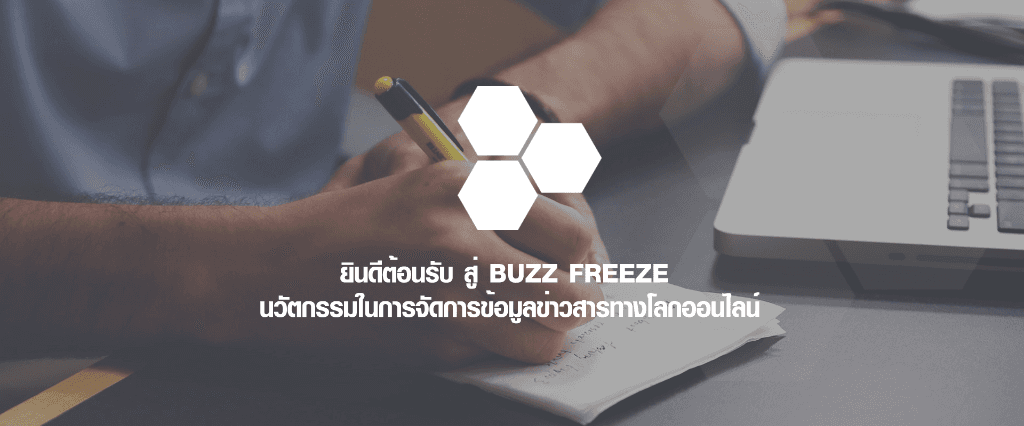 Buzzfreeze Solution cover