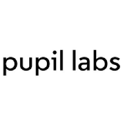 Pupil Labs
